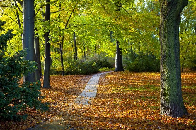 3-Hour Bike Tour of Tiergarten and Berlin's Hidden Places - What This Tour Does Better Than Most City Tours
