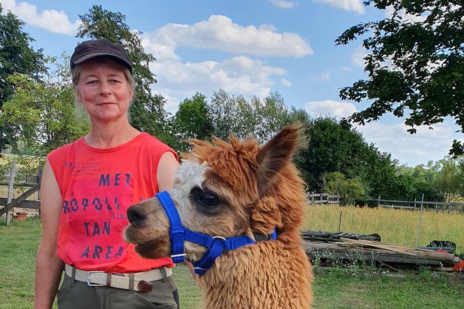 Alpaca hike in the Barnimer Feldmark - Before the walk: briefing on alpacas and why this matters