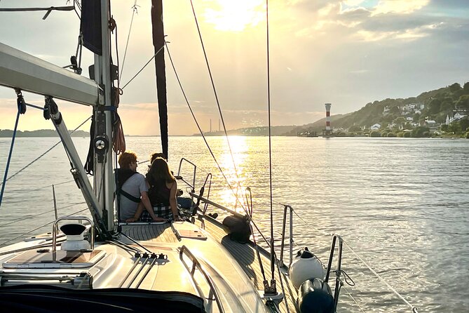 Authentic Sailingtrip "To the Gates of Hamburg" from Wedel - Blankenese from the water: shipwreck areas and Hirschgarten viewpoints
