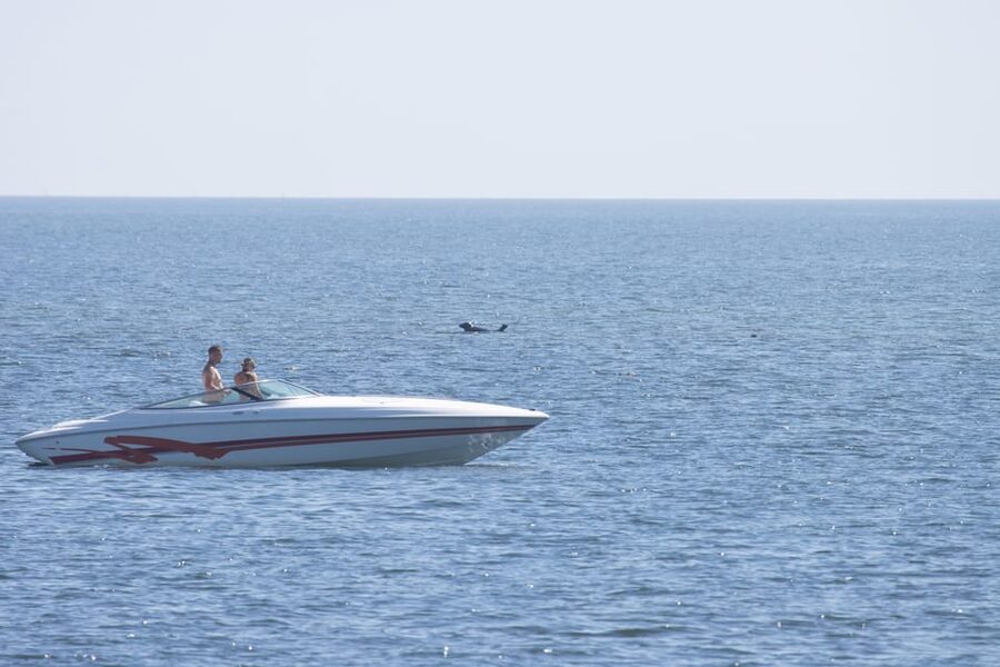 Baabe on Rügen: Seal-Spotting Cruise in the Baltic - The reality check: what if you do not see seals