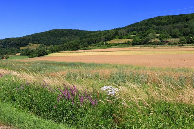 Bamberg Countryside Breweries Beer Hike Food Experience - The guided 5-mile hike, and how to choose the right effort level