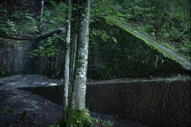 Berchtesgaden-Obersalzberg Private Half Day WWII Historical Tour - Price and value for a group up to 6