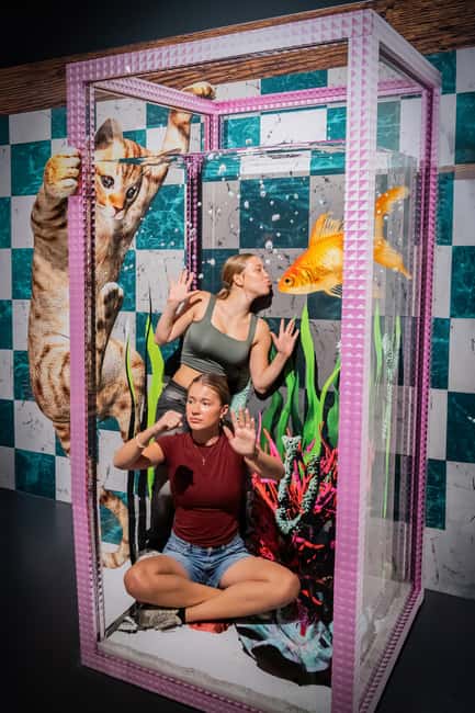 Berlin: 3D TrickArt Museum - Tickets - Price recap and practical value check