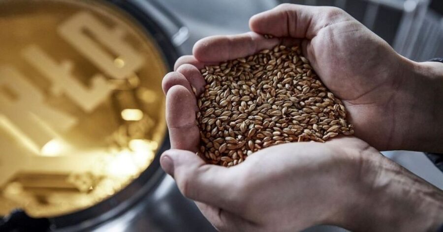 Berlin: BRLO BRWHOUSE Tour and Craft Beer Tasting - Should You Book BRLO BRWHOUSE?