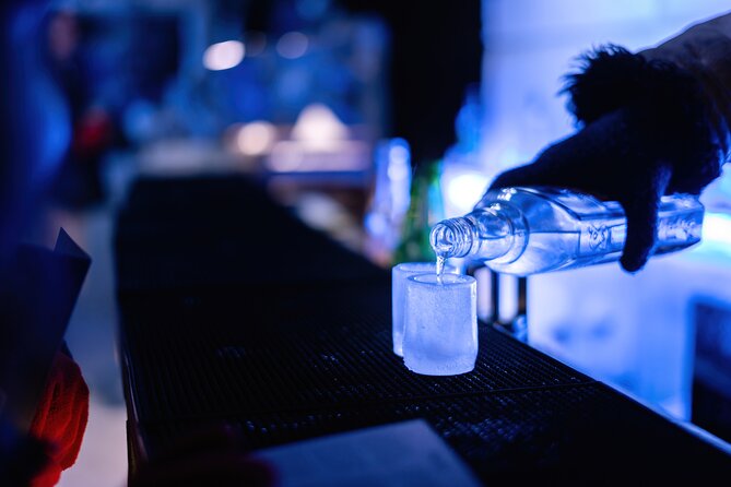 Berlin Combo: Hop-On-Hop-Off Bus and Icebar Ticket - Who This Berlin Combo Ticket Suits Best