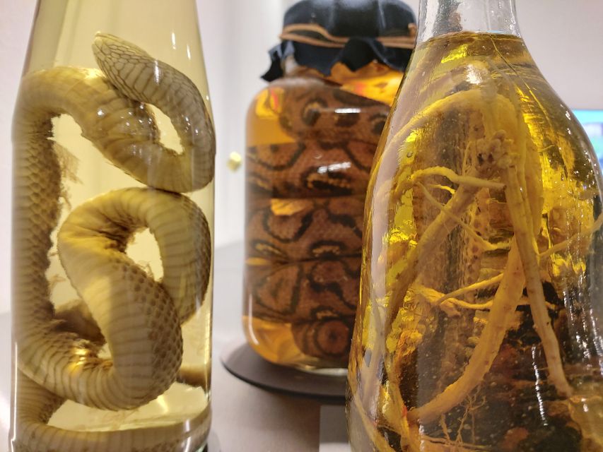 Berlin: Disgusting Food Museum Entry Ticket and Tasting - The Exhibits: Worms, Mite Cheese, Stinky Fish, and More