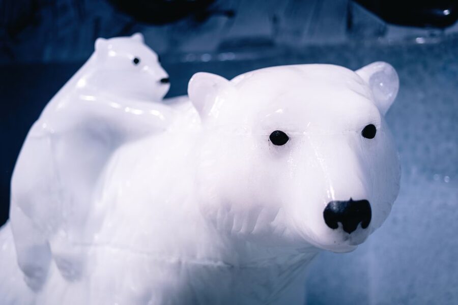 Berlin: Hop-On Hop-Off Bus and Icebar Ticket Combo - Timing Your Day: How to Coordinate the Bus and Your Icebar Slot