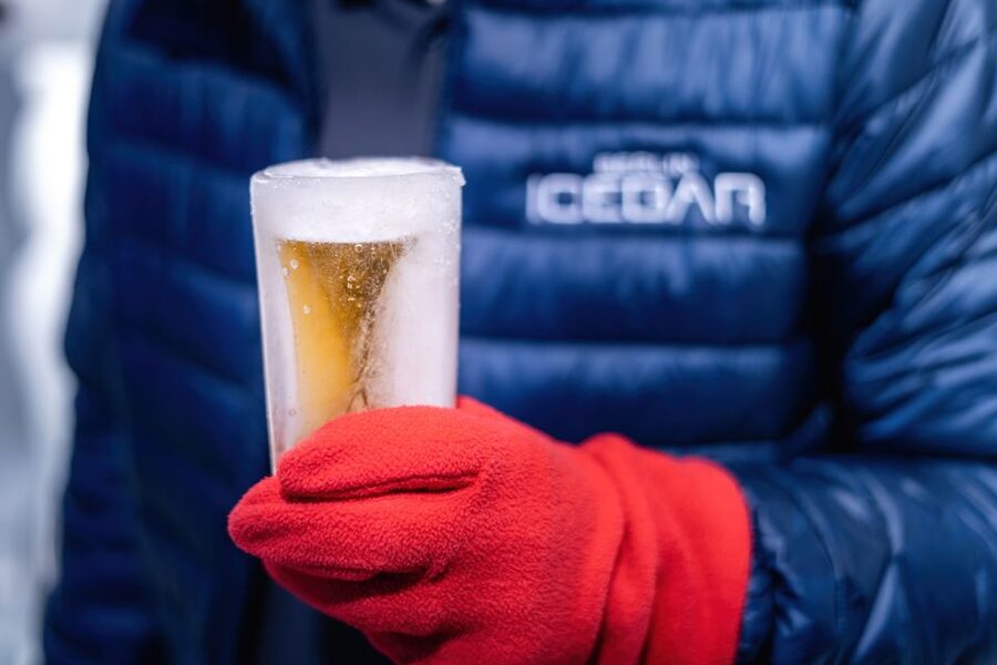 Berlin: Hop-On Hop-Off Bus and Icebar Ticket Combo - Who Should Book This and Who Might Skip
