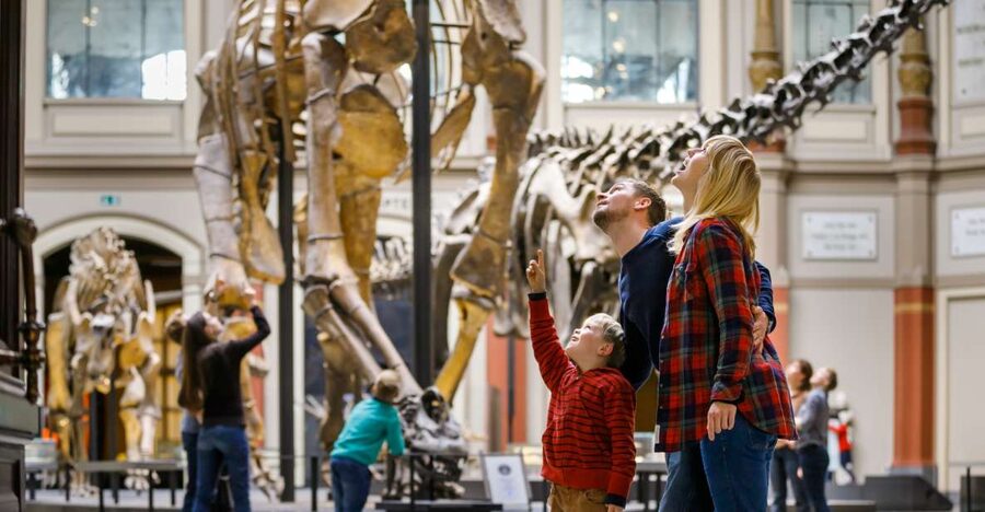 Berlin: Natural History Museum Entrance Ticket - Your walk-through route: where to go first