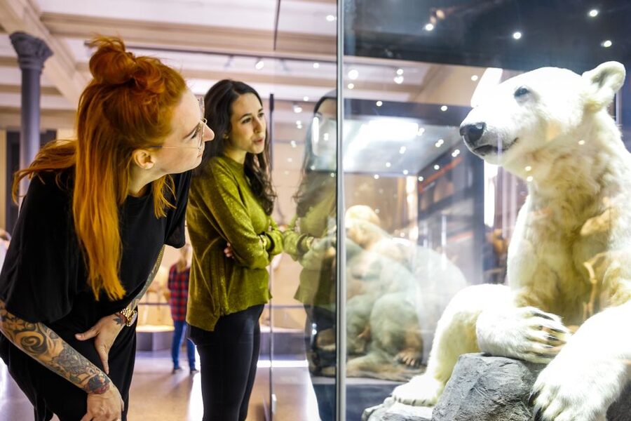 Berlin: Natural History Museum Entrance Ticket - Cloakroom, logistics, and the small comfort wins