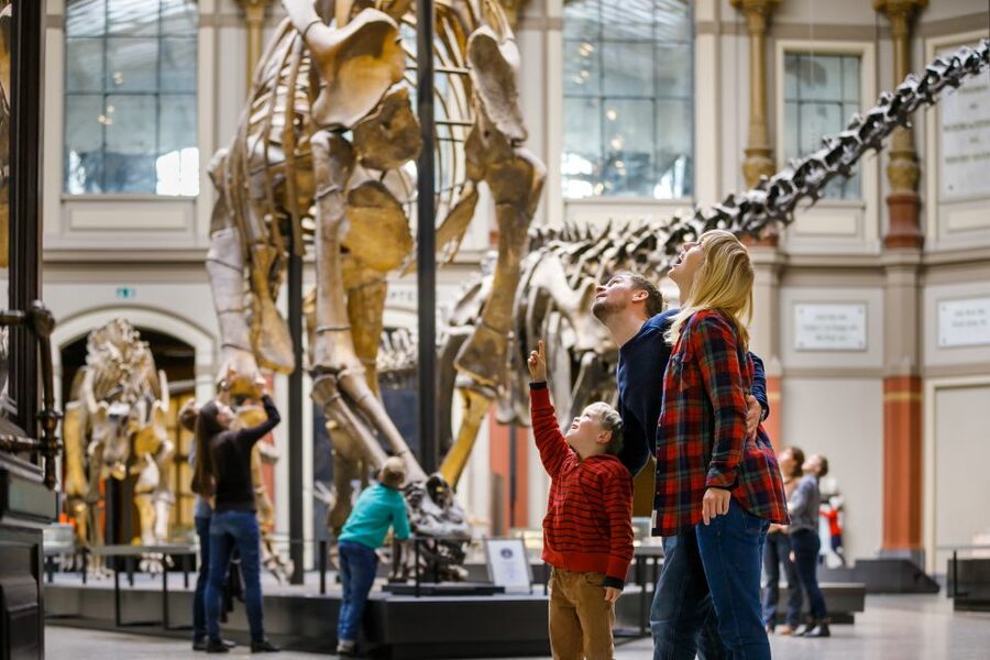 Berlin: Natural History Museum Entrance Ticket - Timing, skip-the-line access, and how to manage a 30 to 60 minute visit