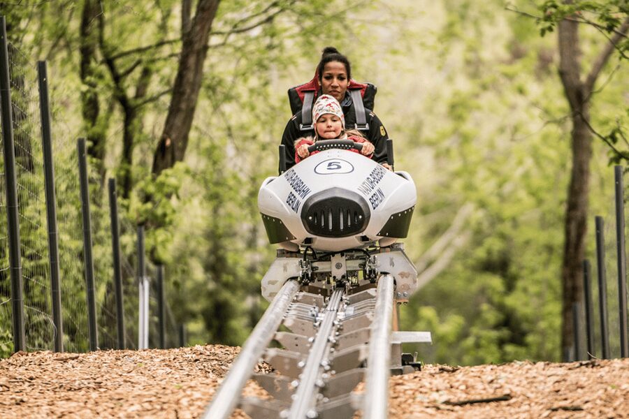 Berlin: Nature Bobsled Run Ticket - Wheelchair Accessibility, With One Important Reality Check