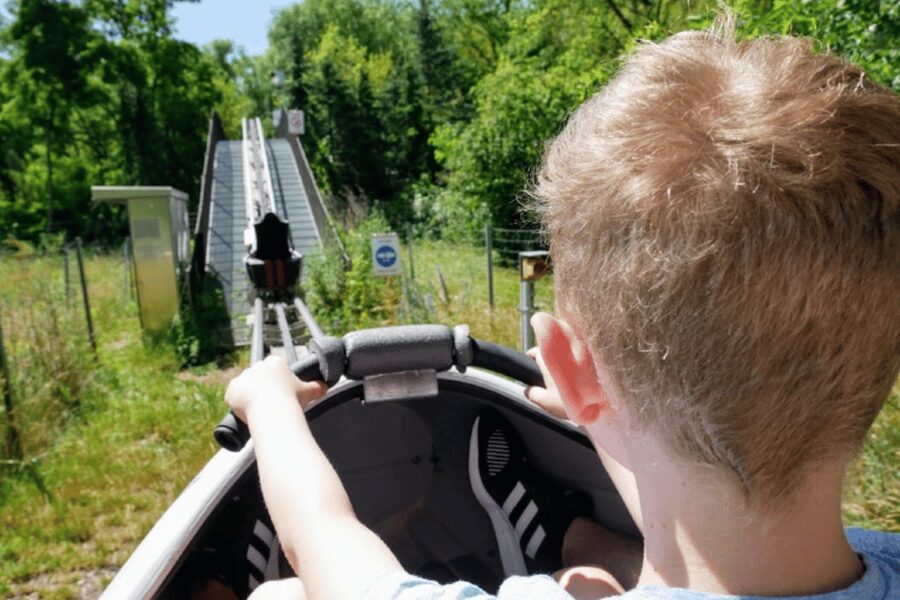 Berlin: Nature Bobsled Run Ticket - Price and Value: Why About $7 Is a Fair Deal