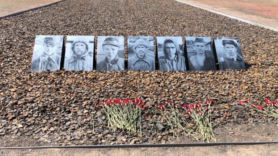 Berlin: Sachsenhausen Concentration Camp Guided Tour - Cell blocks, secrets, and who was imprisoned there