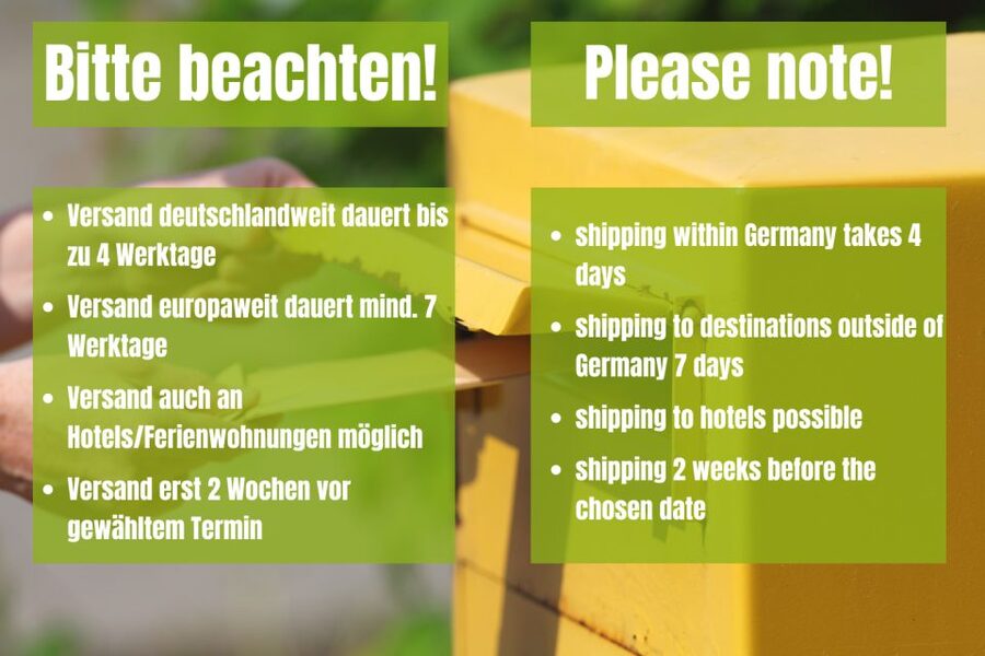 Berlin: Scavenger Hunt Self-Guided Tour - Price and value for a group of up to 10