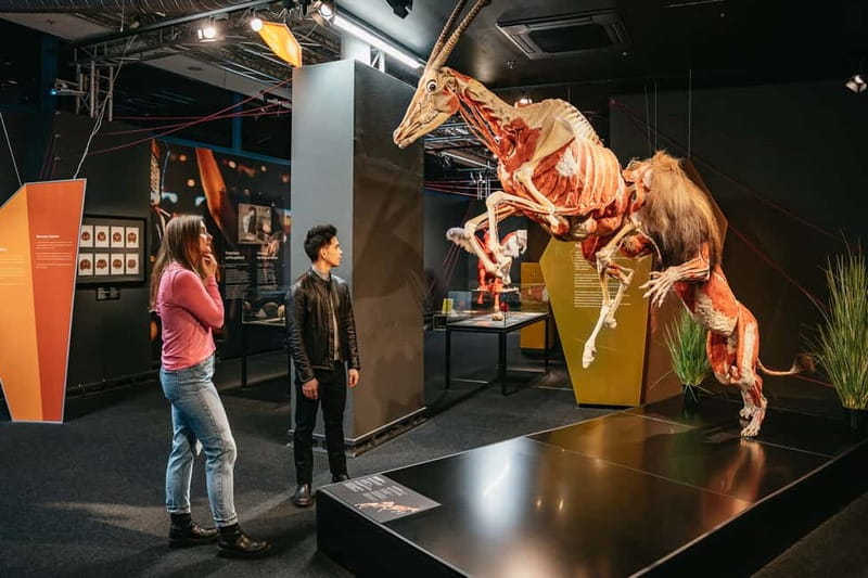 Berlin: Tickets for the BODY WORLDS Museum in Berlin - Key Things to Know Before You Go