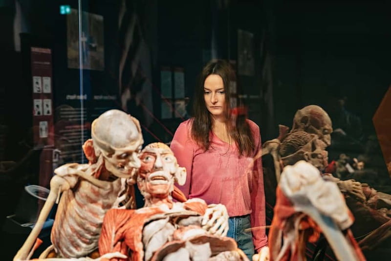 Berlin: Tickets for the BODY WORLDS Museum in Berlin - Price and Value: Is $22 Worth It?