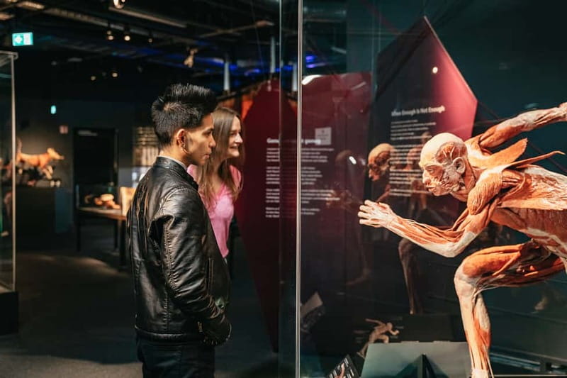 Berlin: Tickets for the BODY WORLDS Museum in Berlin - Whole-Body Preparations and Disease Lessons in Plain Language