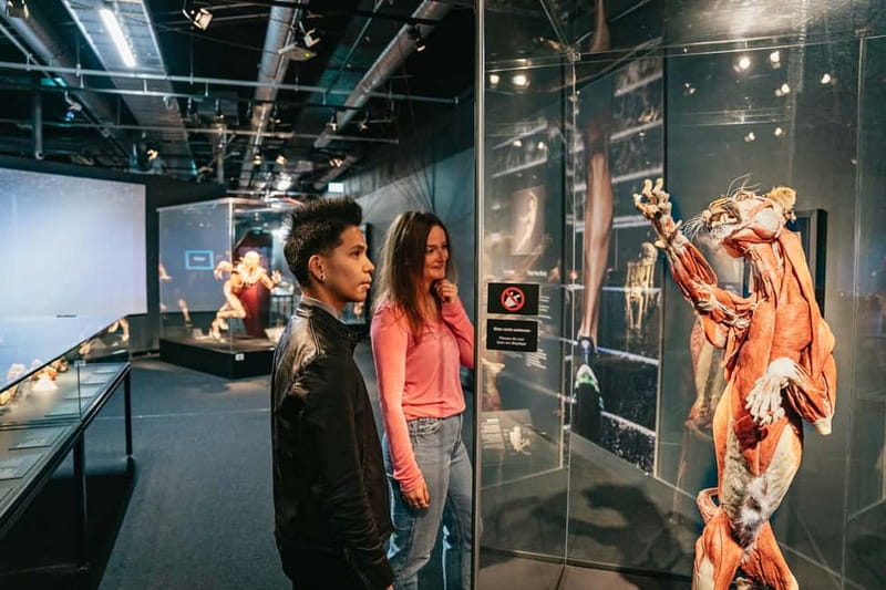 Berlin: Tickets for the BODY WORLDS Museum in Berlin - How Long You Actually Need and How to Plan Your Route