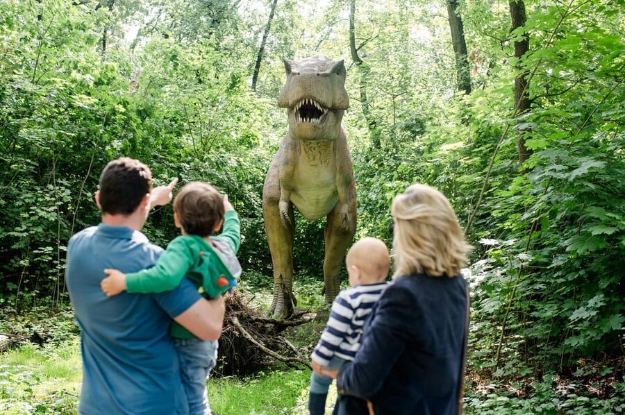 Berlin: Tickets for the Tierpark in East Berlin - Key things I would plan around