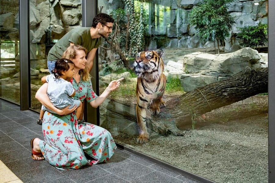 Berlin: Tickets for the Tierpark in East Berlin - How to map your “world tour” inside the zoo