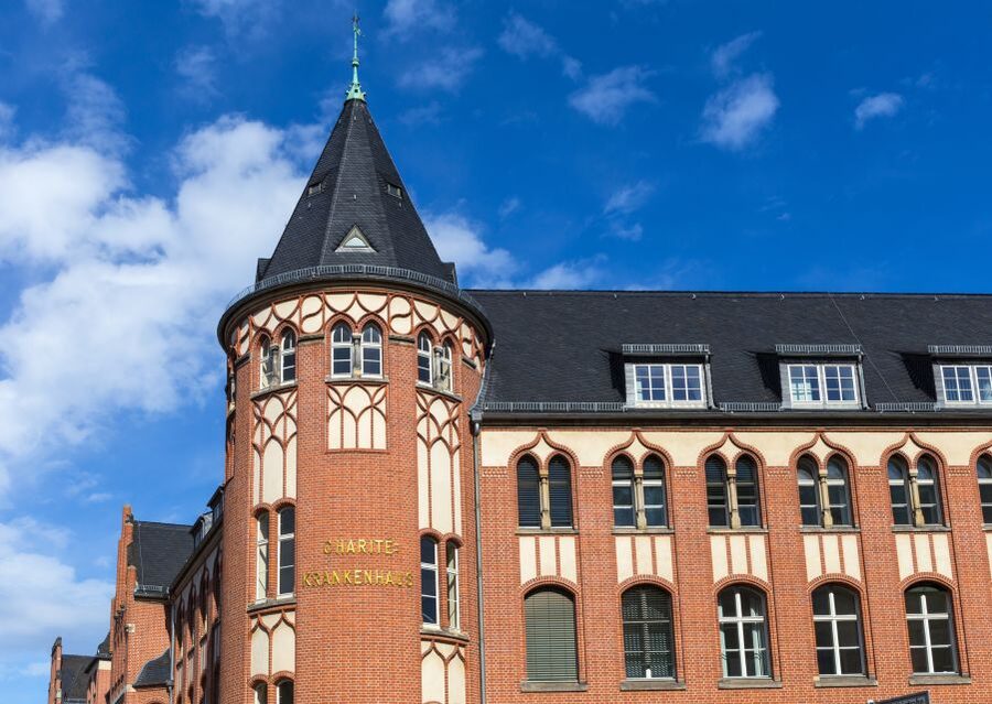 Berlin: walking tour about Charité - Luisenstraße and the university campus, medicine in the city