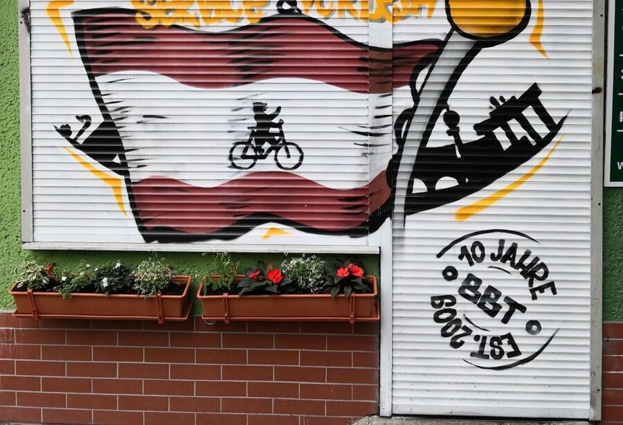Berlin Wall: Small Group Guided Tour - The former death-strip and the strange story of cherry trees
