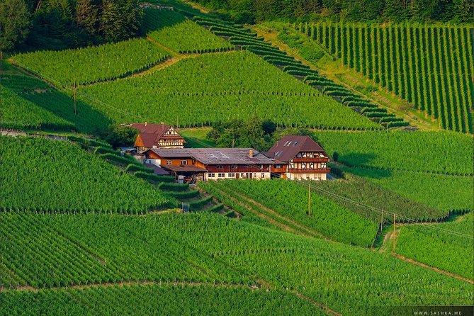 Black Forest. From Baden-Baden to Strasbourg. Two countries in one day - Why this Baden-Baden to Strasbourg day works