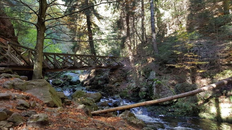 Black Forest: Ravenna Gorge Hike, Self-Guided - Ravenna Gorge in the Black Forest, without the tour-bus feel