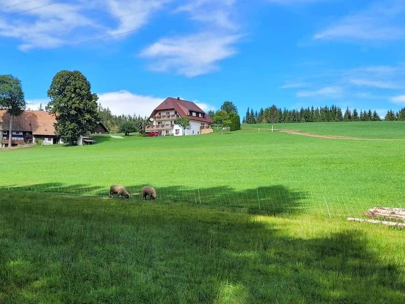 Black Forest: Ravenna Gorge Hike, Self-Guided - The Ravenna Gorge hike: waterfalls, streams, and that dark-Black-Forest feeling