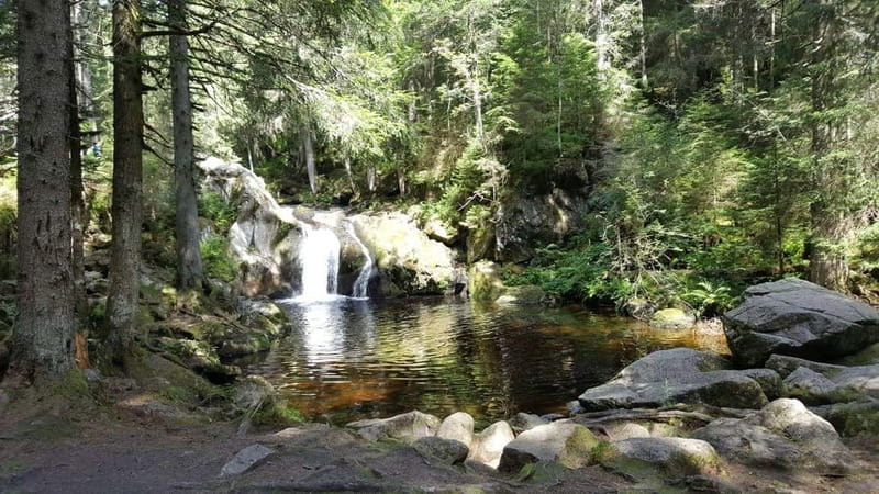 Black Forest: Ravenna Gorge Hike, Self-Guided - Chapel stop and the biggest cuckoo clock photo moment
