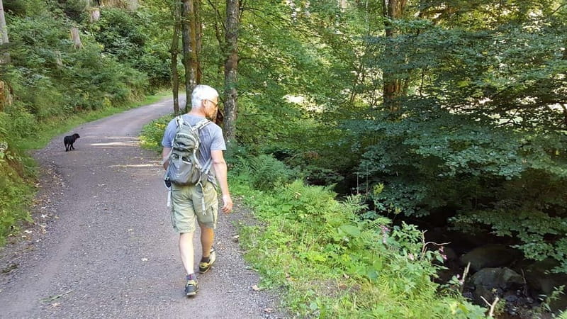 Black Forest: Ravenna Gorge Hike, Self-Guided - Getting to Hinterzarten: the simple train-and-walk launch