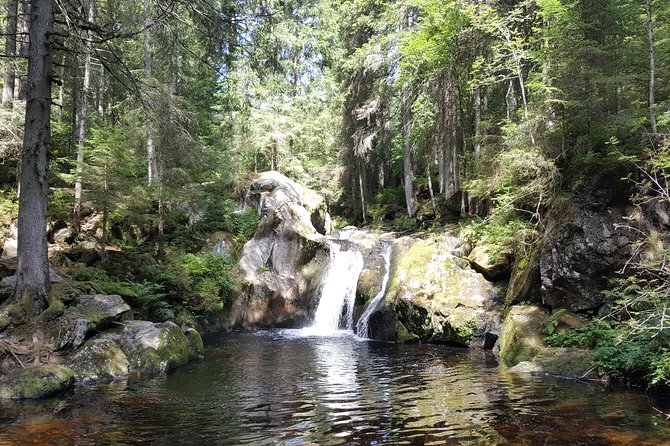 Black Forest Tour by car - Quick Tour from Freiburg - How the guide turns routes into real context (Simone’s style)
