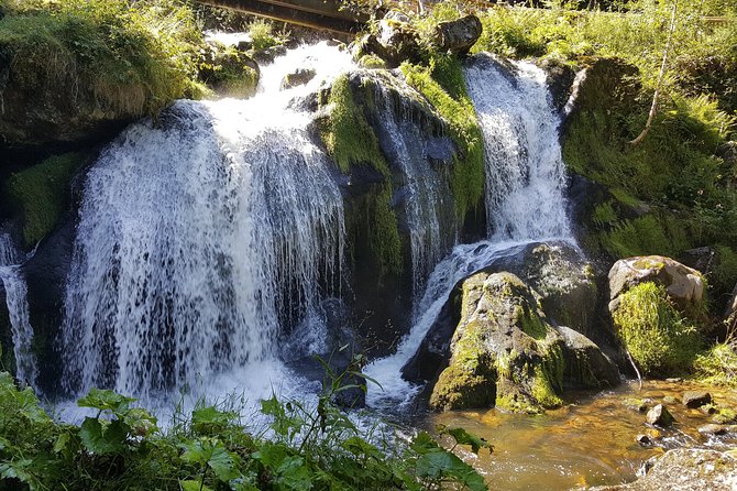 Black Forest Tour by car - Quick Tour from Freiburg - Price and value: is $948.28 per group worth it?