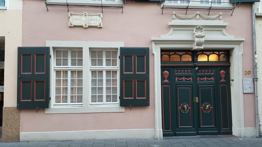 Bonn: Private City Highlights Walking Tour - What you get for $117: private value, not just sightseeing