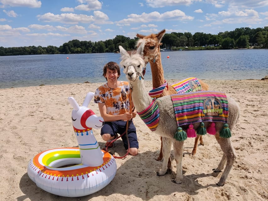Braunschweig: Alpaca Trekking Tour - Routes around Braunschweig: Oker, Südsee, and date-dependent variations