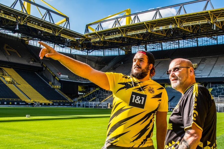 BVB Signal Iduna Park: Stadium Access and Self-Guided Tour - Pitch expectations: maintenance can change what you see