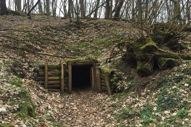 Clash of Titans: Battle for Seelow Heights WW2 tour - Reitwein forest walking: Zhukov’s command bunker and the trench remnants