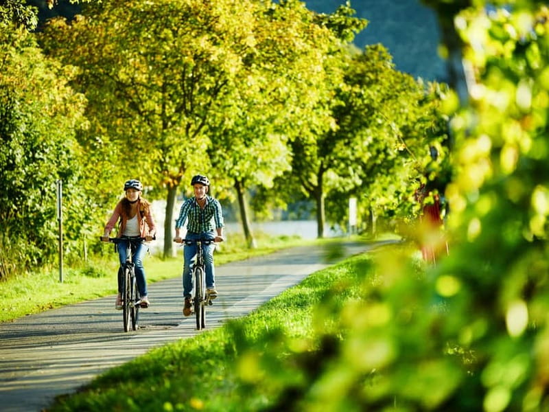 Cochem: Bike and Boat Tour with Picnic and Wine Tasting - Key things to know before you go