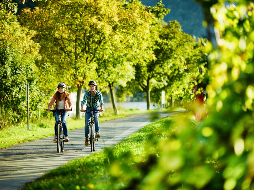 Cochem: Bike and Boat Tour with Picnic and Wine Tasting - Picnic lunch by the riverbank: when and how it lands