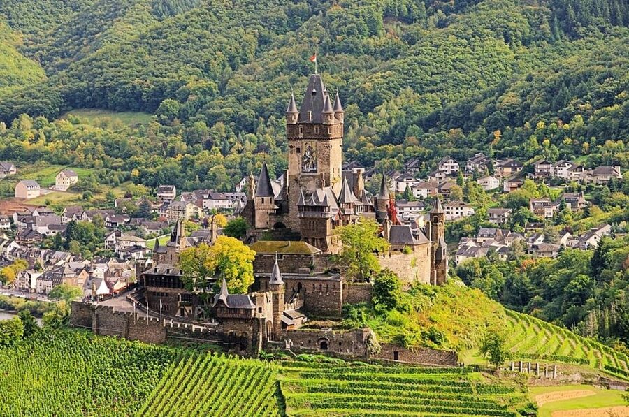 Cochem, Moselle: Castle, boat and wine tour - Moselle boat trip: vineyard views you can actually photograph