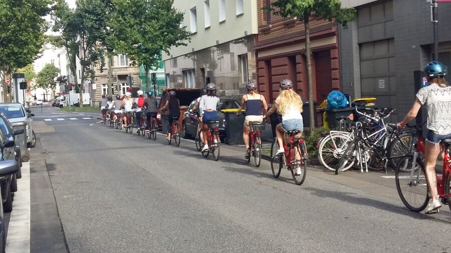 Cologne: 3-Hour Guided Bike Tour - Rheinauhafen and the Crane Houses area: a different side of Cologne