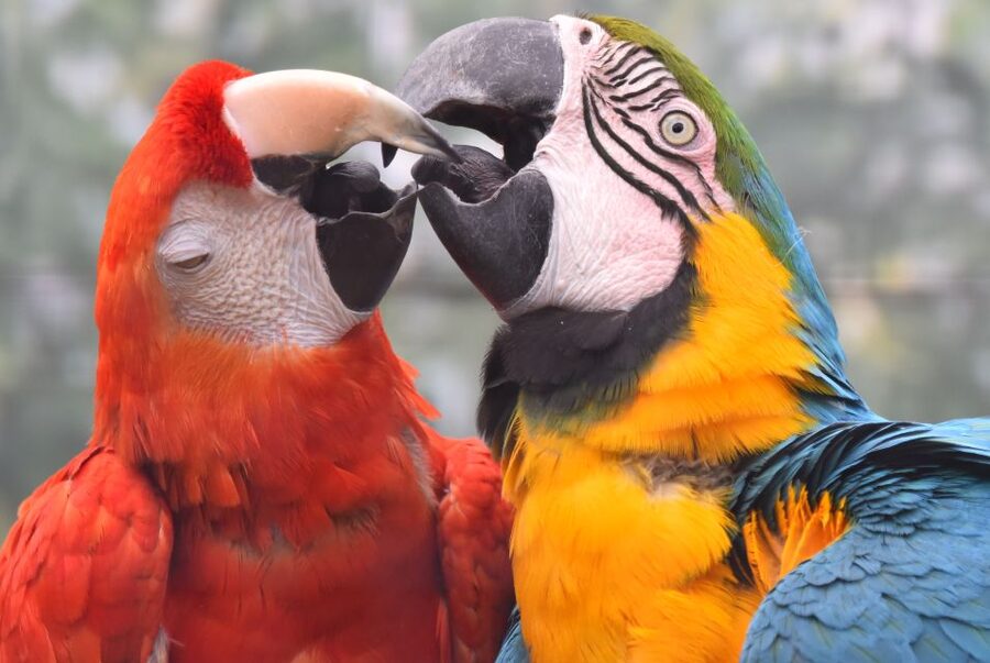 Cologne: Cologne Zoo and Aquarium Entry Ticket - Value check: why this $27 ticket can feel like a bargain