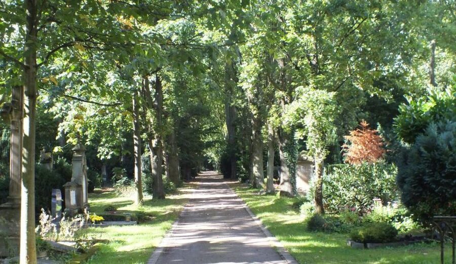Cologne: Melaten Cemetery Life, Love and Death Tour - Price and Value for a Melaten Cemetery Ticket Plus Guide