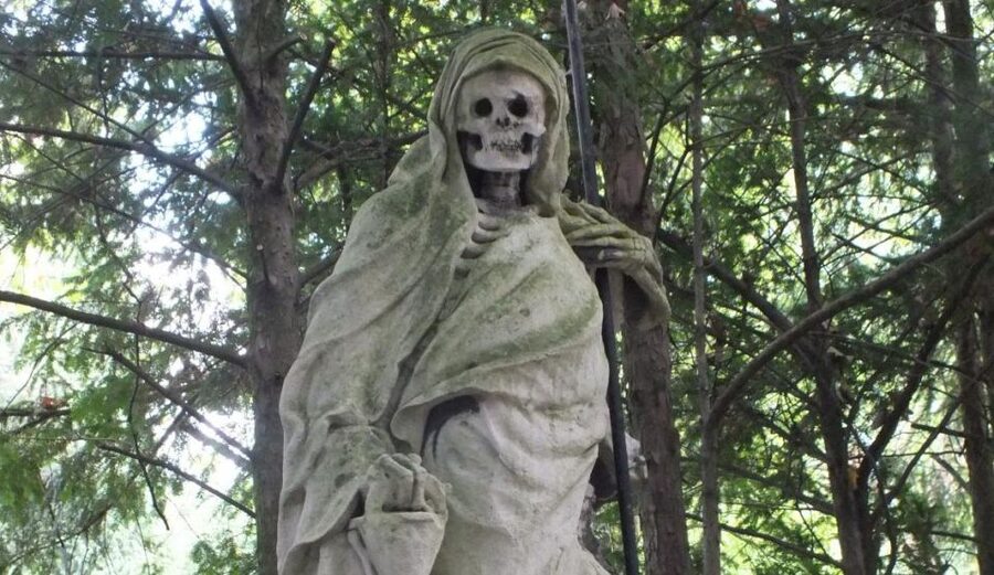 Cologne: Melaten Cemetery Life, Love and Death Tour - Meeting at Aachener Straße and Getting Oriented Fast