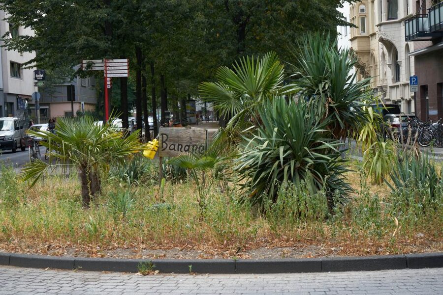 Cologne: Südstadt Guided Foodie Walking Tour - Price and Value: Is $589 Per Group Worth It?