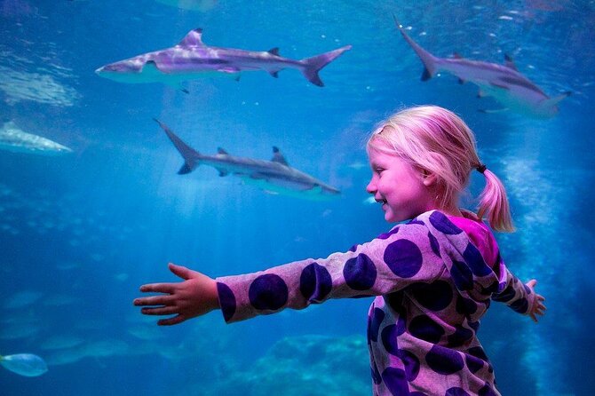 Combi Ticket: LEGOLAND Discovery Centre & SEA LIFE Oberhausen - Key things to know before you go