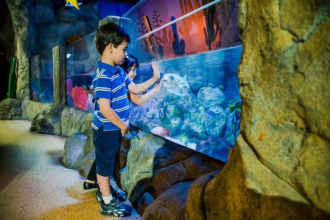 Combi Ticket: LEGOLAND Discovery Centre & SEA LIFE Oberhausen - How the combi ticket works in Oberhausen (and why it matters)