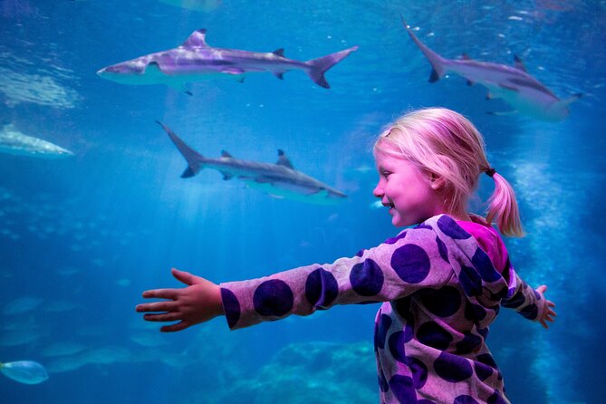 Combi Ticket: LEGOLAND Discovery Centre & SEA LIFE Oberhausen - SEA LIFE Oberhausen: sharks, rays, and an underwater dome view