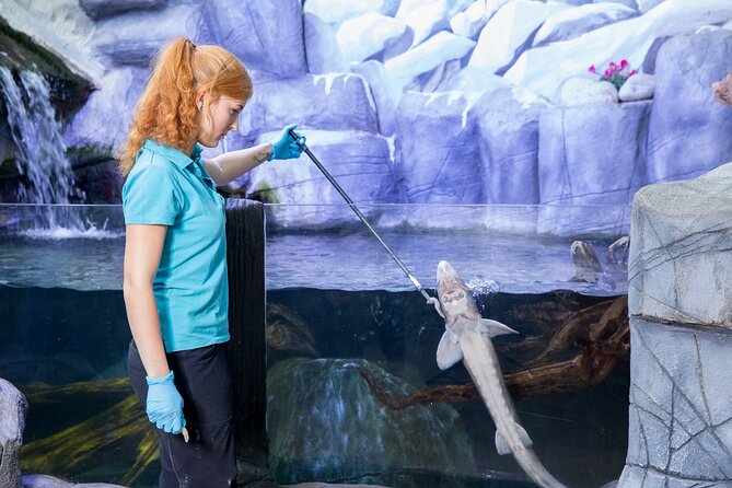 Combi Ticket: LEGOLAND Discovery Centre & SEA LIFE Oberhausen - Timing strategy: how to keep the day smooth with two attractions